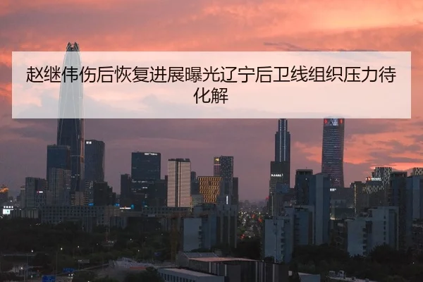 赵继伟伤后恢复进展曝光辽宁后卫线组织压力待化解